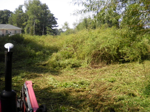 The grass was taller than my tractor