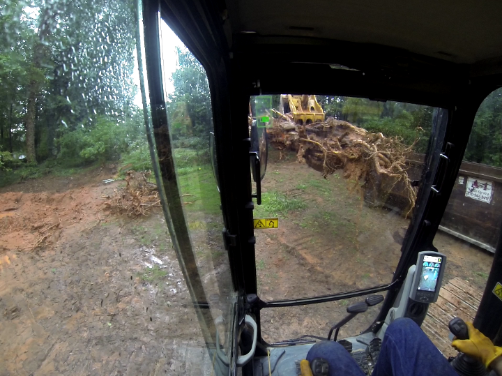 Placing a large hardwood stump in a rolloff container