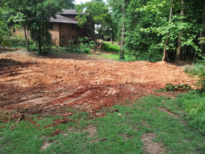 Backyard smoothed after removing stumps
