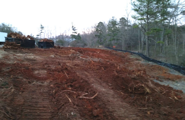 Over thirty stumps cleared in a day (including several 