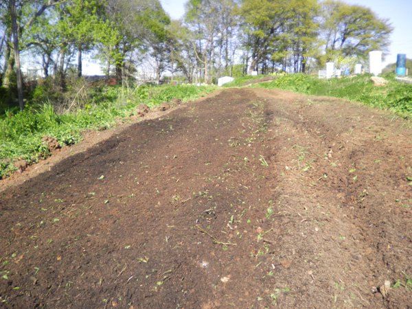 After roto-tilling the plowed area