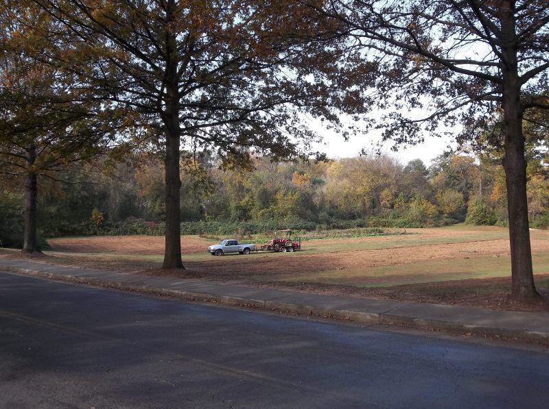 View from Highway 78 East